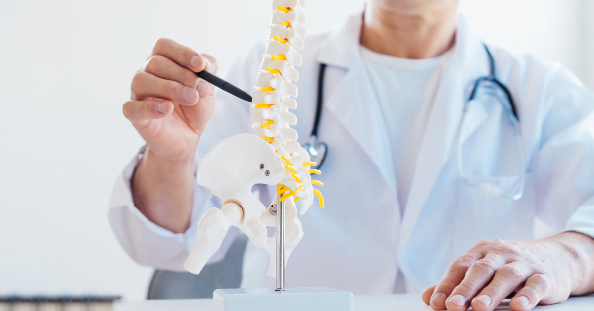 A doctor pointing at a model of a human spine. This image is used to support the connecting article about spinal fracture misdiagnosis claims.